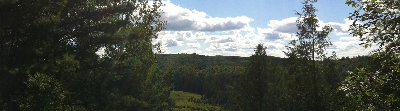 sr_landscape